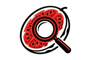 青鸾殇 - 吃瓜社Logo